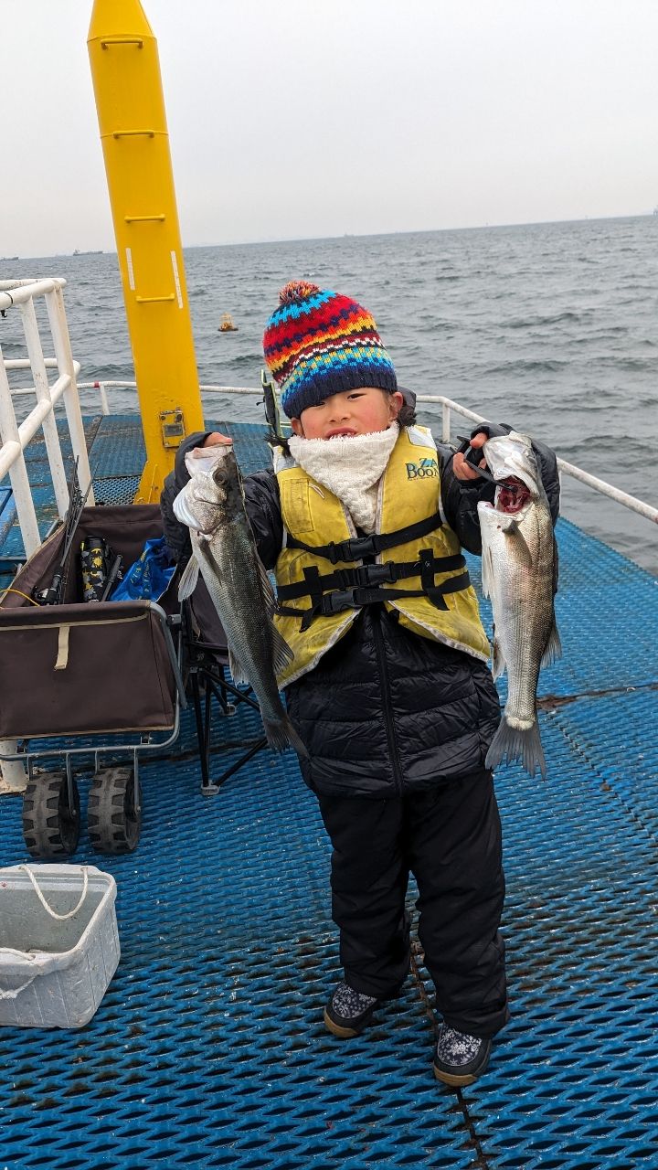 フッコ（ヒラスズキ）