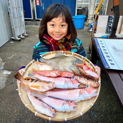 アカアマダイの釣果