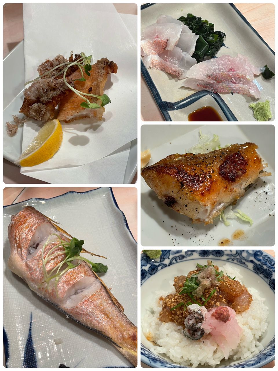 アングラーきんぐさんの釣果 3枚目の画像