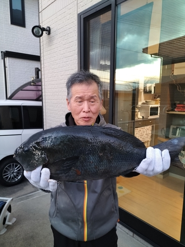 クチブトグレの釣果