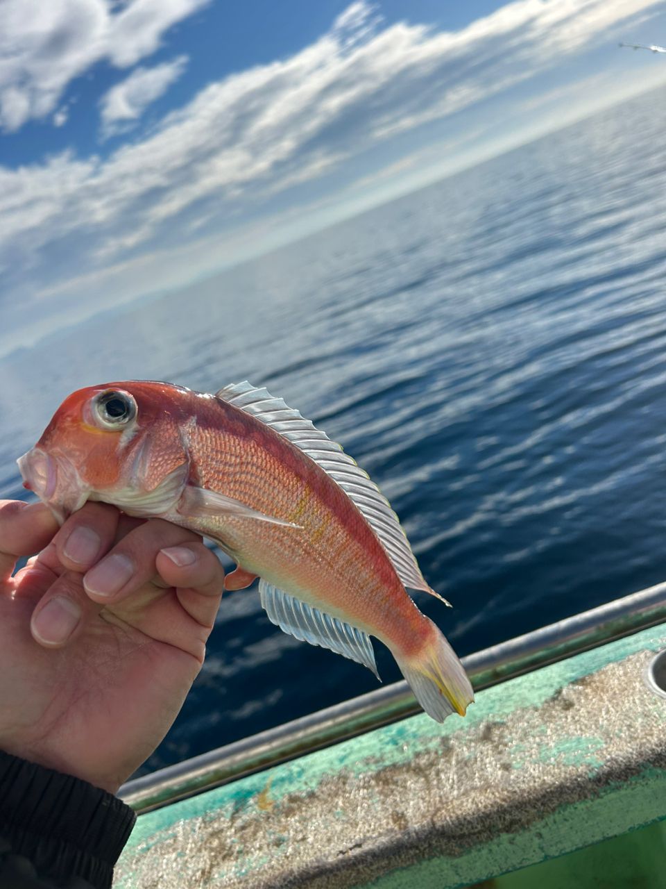 きンちゃンさんの釣果 2枚目の画像