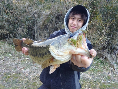 ラージマウスバスの釣果