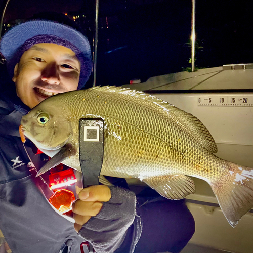 クチブトグレの釣果