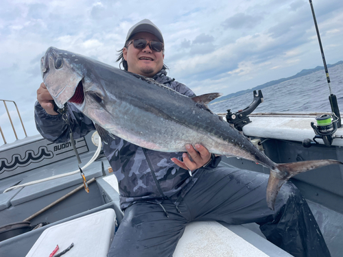 イソマグロの釣果