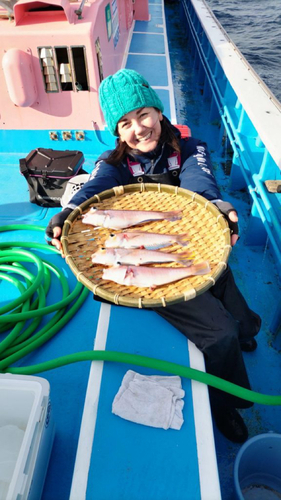 アマダイの釣果