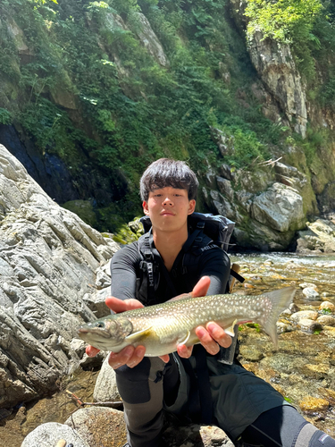 イワナの釣果