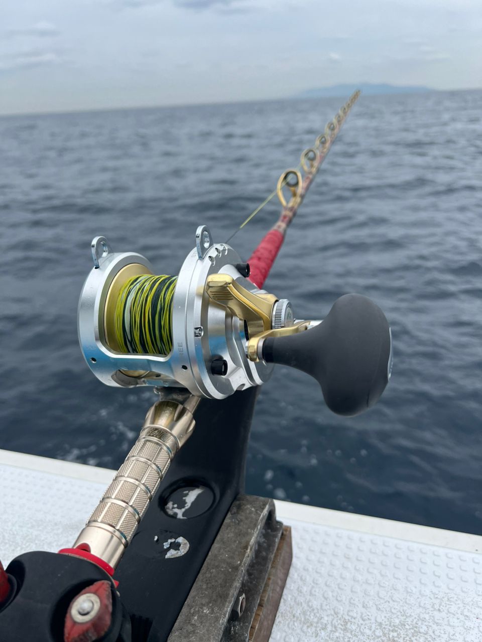 ギルガメさんの釣果 3枚目の画像