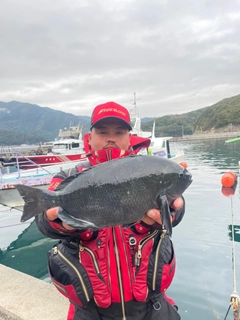 クチブトグレの釣果