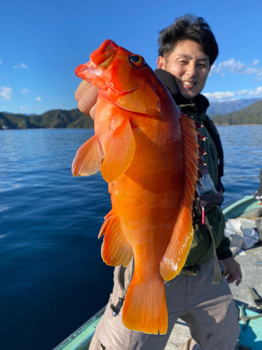 アカハタの釣果