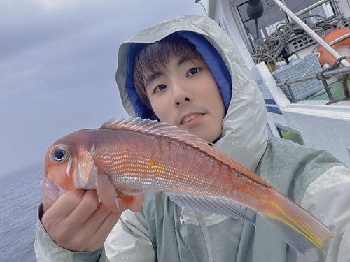 アカアマダイの釣果