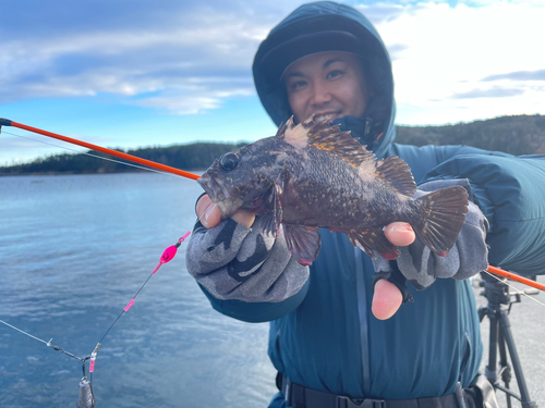 ムラソイの釣果