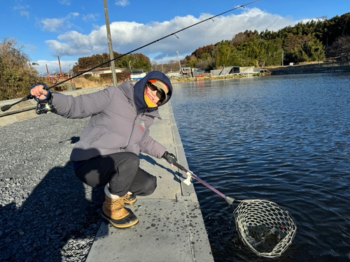 ニジマスの釣果