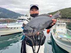 メジナの釣果