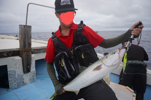 ブリの釣果