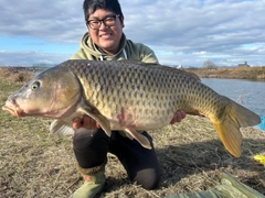 コイの釣果