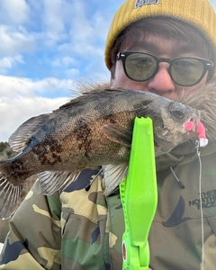 クロメバルの釣果