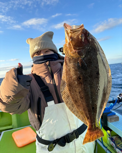 ヒラメの釣果