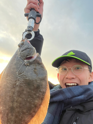 カレイの釣果