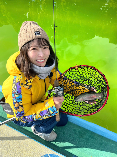 ニジマスの釣果