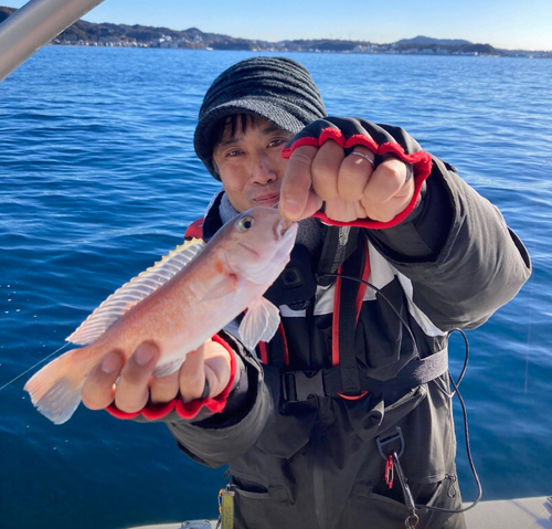 シロアマダイの釣果