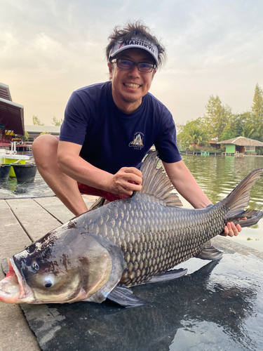 パーカーホの釣果