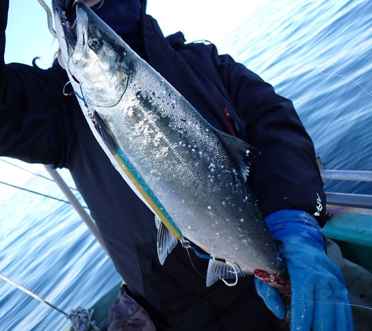 ちかおさんの釣果 3枚目の画像