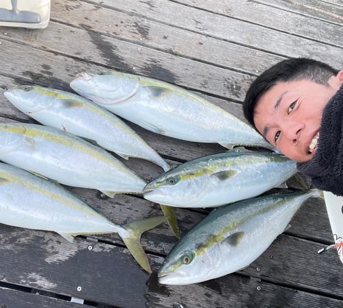 ワラサの釣果