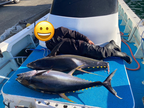 キハダマグロの釣果