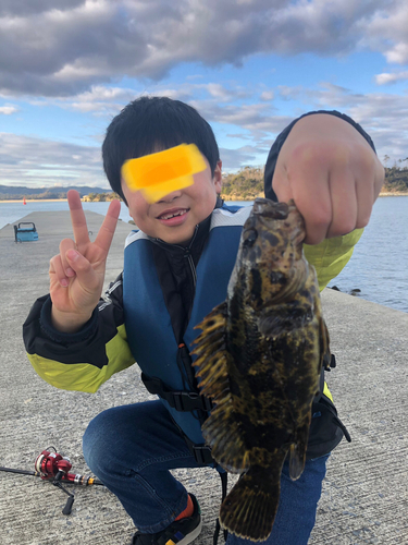 ベッコウゾイの釣果