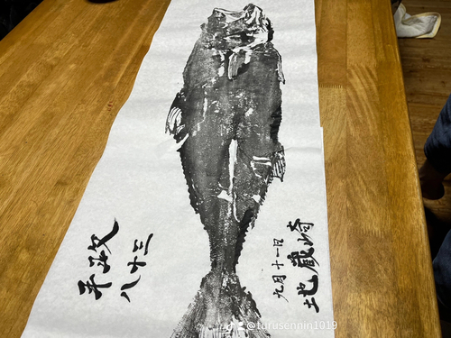 ヒラマサの釣果