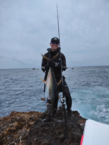 キハダマグロの釣果