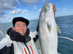 ハマチの釣果