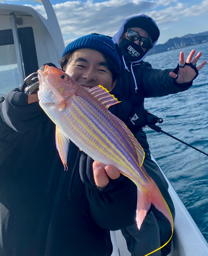 イトヨリダイの釣果