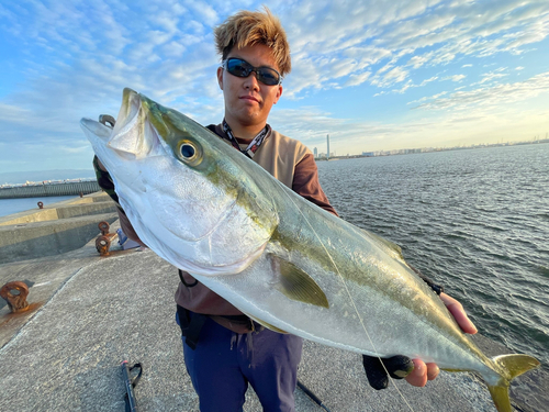 メジロの釣果