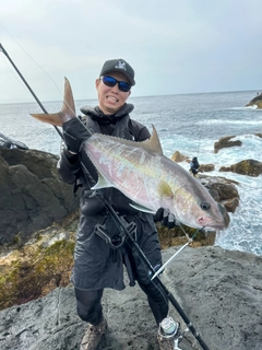 ヒレナガカンパチの釣果