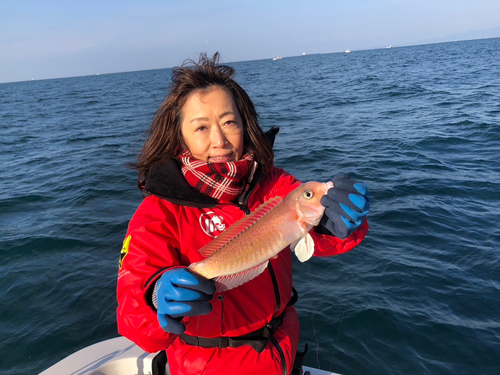 アマダイの釣果