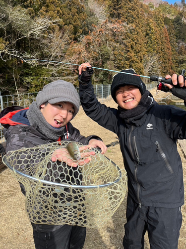 ニジマスの釣果