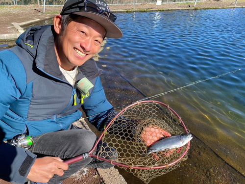 ニジマスの釣果