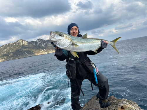 ヒラスの釣果