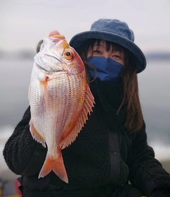 レンコダイの釣果