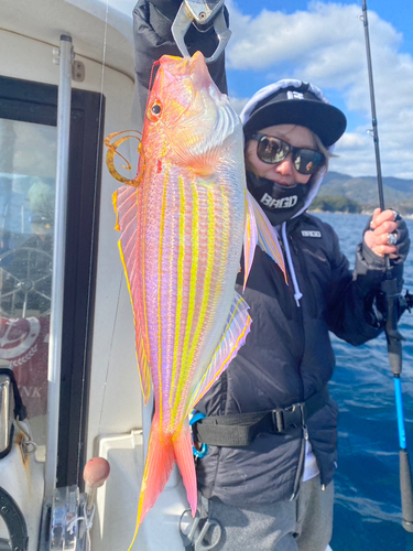 イトヨリダイの釣果