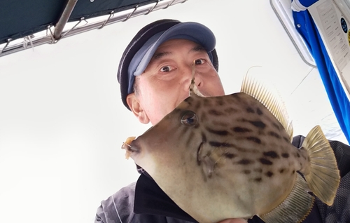 カワハギの釣果