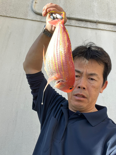 イトヨリダイの釣果