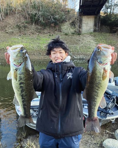 ブラックバスの釣果