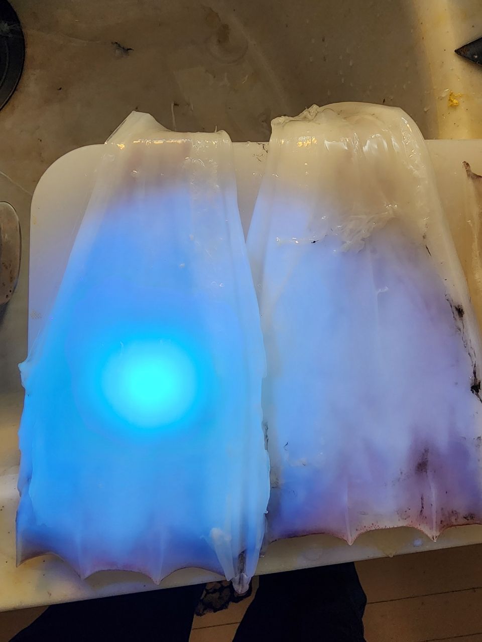 えいち3220さんの釣果 2枚目の画像