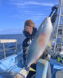 ワラサの釣果