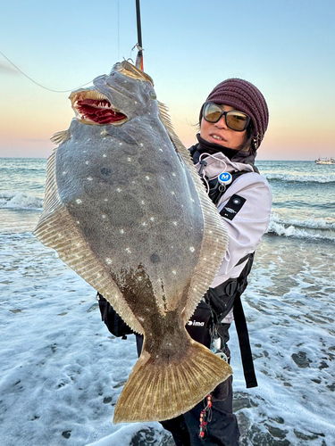 ヒラメの釣果