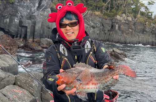 ブダイの釣果