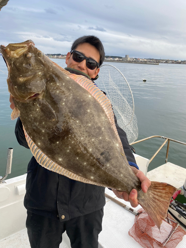 ヒラメの釣果