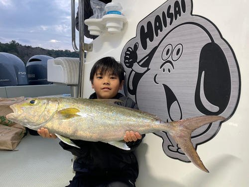 ヒレナガカンパチの釣果